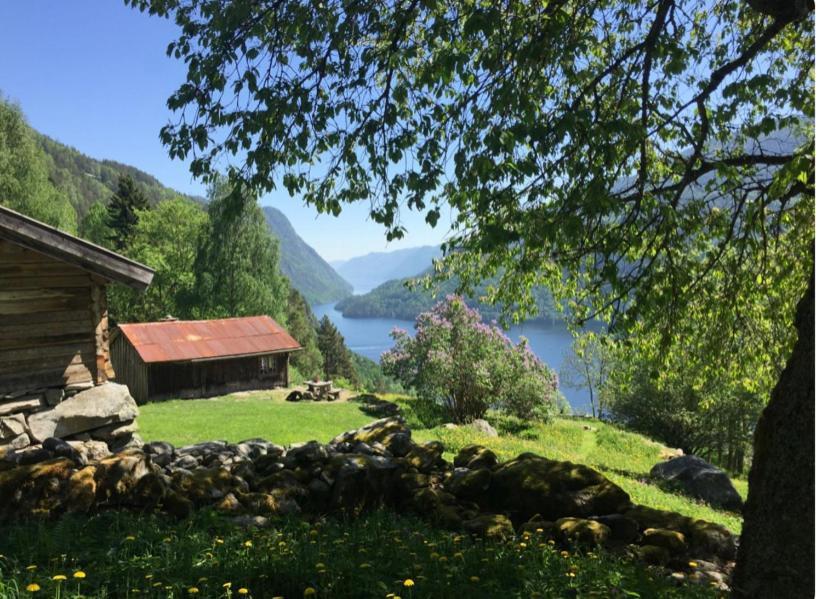 Dalen I Telemark Holiday Home With Garden ภายนอก รูปภาพ
