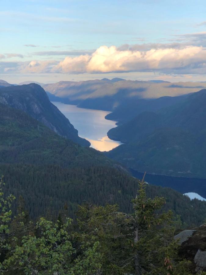 Dalen I Telemark Holiday Home With Garden ภายนอก รูปภาพ
